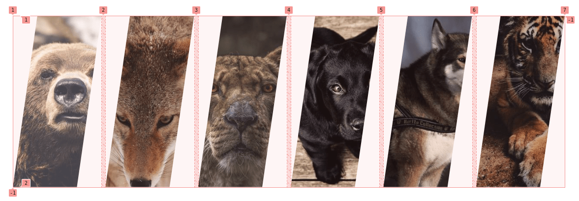 A six-panel grid of slanted images of various wild animals showing the grid lines and gaps.